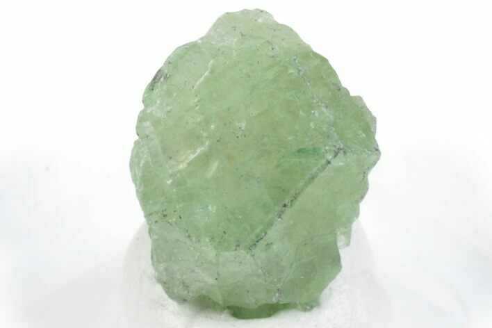 Lustrous Tsavorite Garnet Specimen - Tanzania #381449